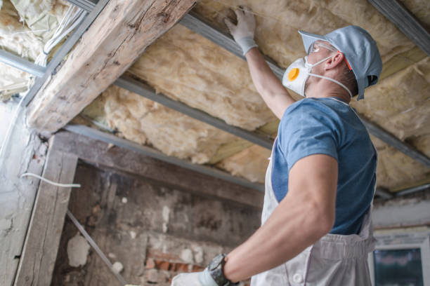 Best Spray Foam Insulation  in Bellville, TX